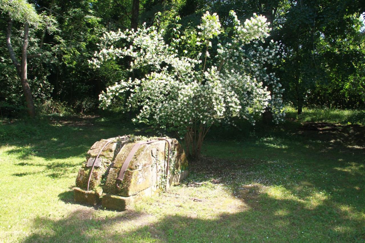 La Chartreuse Maison D Artistes Bergerac Zewnętrze zdjęcie