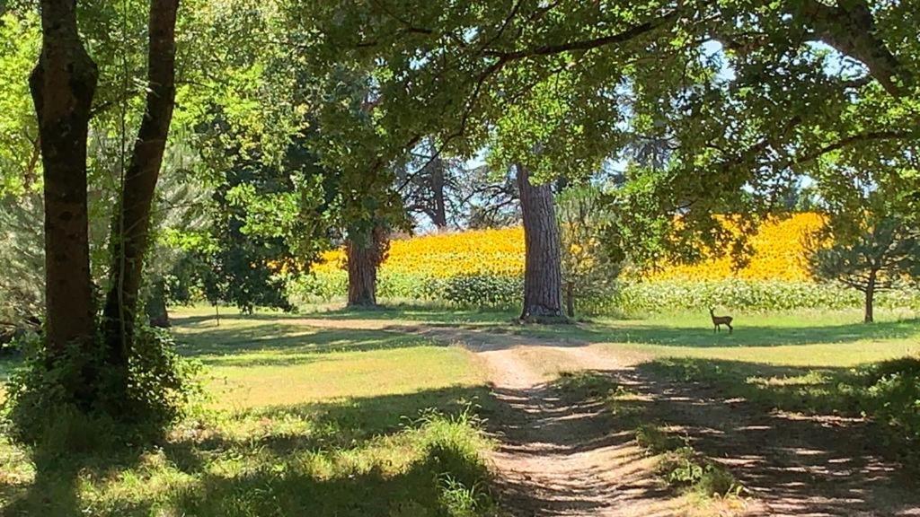 La Chartreuse Maison D Artistes Bergerac Zewnętrze zdjęcie